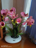 wo+ 高档新款手感PU蝴蝶兰仿真花艺客厅餐桌花电视柜装饰花假花 白色扁陶瓷盆+粉红色蝴蝶兰 实拍图