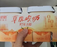 兰格格 草原酸奶 野生沙棘300g*4 0蔗糖酸奶 产地乌兰察布源头直发 实拍图
