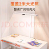 孩视宝立式护眼小路灯红光全光谱落地灯卧室儿童学习专用立式台灯D1-70W 实拍图