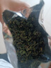 贡苑黄山云雾绿茶50g 2025新茶明前春茶高山嫩芽正宗安徽茶叶自己喝 实拍图