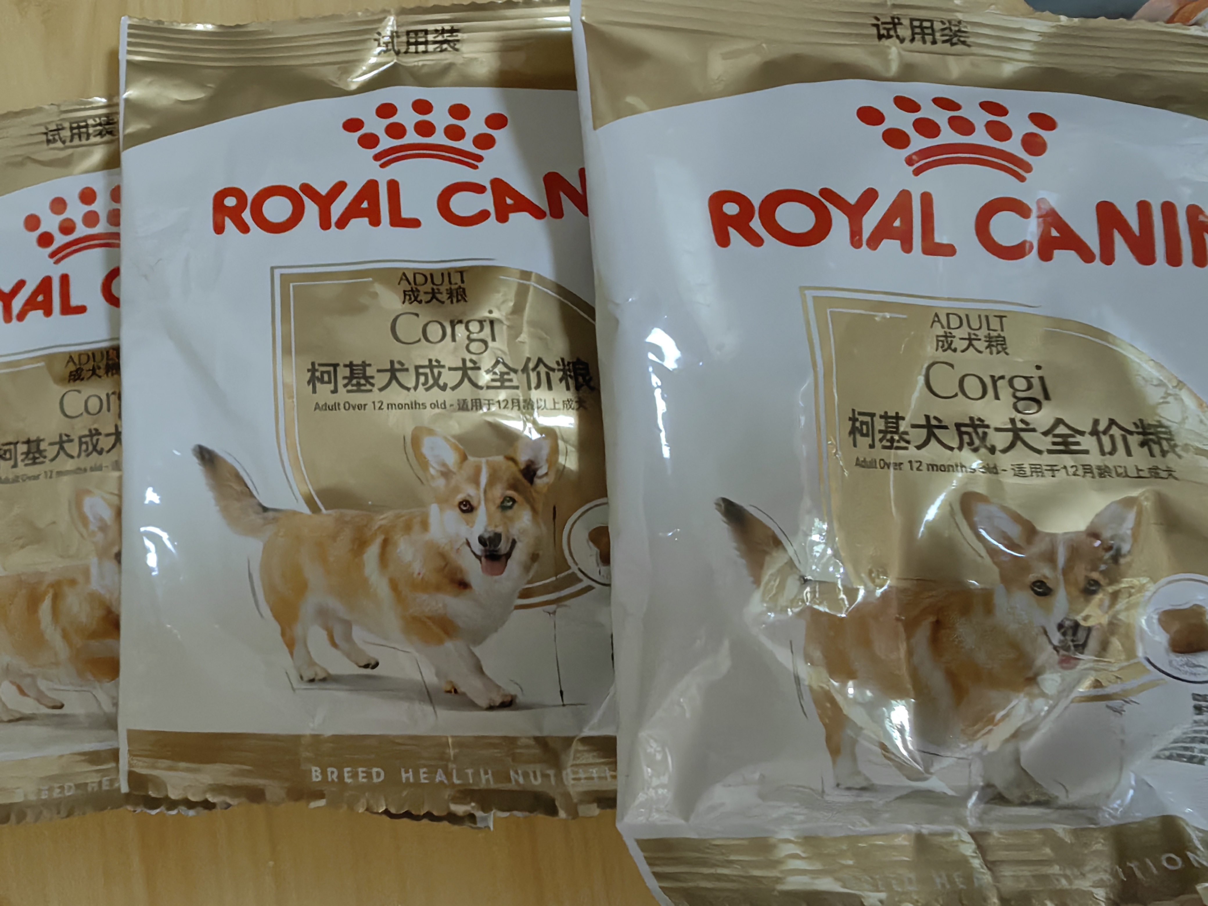 皇家狗粮 柯基成犬狗粮 犬粮 宠物中型犬全价粮CGA25 50g*3 实拍图