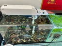 金利佳（Jeneca）鱼缸壁挂过滤器三合一净水循环增氧顶外置滤盒增氧打氧机循环水泵 实拍图