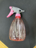 喷壶浇花浇水喷雾器气压式喷水壶家用园艺养花500ml 南瓜喷壶透粉【1个装】 实拍图
