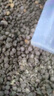 网易严选成猫幼猫通用全价无谷鲜肉猫粮 原野禽肉口味 1.8kg*4袋 实拍图