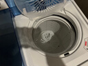 志高半自动洗衣机双桶双缸老式家用大容量出租房双筒小型波轮双杠洗衣机洗涤+脱水 18.5公斤｜强力去污【洗12+脱6.5】 实拍图