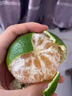 粤迎云南青皮蜜橘酸甜口感特早熟桔子蜜桔新鲜水果当季整箱青皮柑橘籽 5斤精选果净4.5斤 实拍图