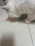 麦斯蒂宠物猫罐头鸡肉金枪鱼维生素浓汤补水成幼猫咪零食营养85g*24罐 实拍图