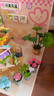 那家小屋diy小屋手工艺术森林奇遇别墅微缩积木拼装立体解压模型生日礼物 森林奇遇  diy小屋+音乐款 实拍图