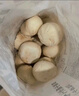 头厨拇指生煎包500g约50个煎饺包子 儿童早餐半成品速食 一口一个 实拍图