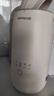 九阳（Joyoung）350ml豆浆机 迷你一人食 可做米糊 燕麦奶 果汁 烧水家用多功能榨汁机DJ03X-D120 实拍图