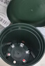 德沃多肥料加仑盆1号含花托盘塑料花盆园艺绿植盆栽种植兰花室内摆件多肉盆 实拍图