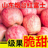 京地达烟台栖霞红富士苹果净重4.5斤单果约230g烟台苹果水果源头直发 实拍图