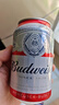 百威啤酒红罐淡色拉格330ml*24听整箱装浓郁麦香  实拍图