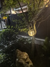 紫叶（ziye）户外阳台桌椅 休闲庭院座椅室外花园餐桌椅 简约现代 铁艺家具 4【椅】+1【130X80长桌】 实拍图