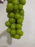 京营觅选阳光玫瑰葡萄晴王香印提子 当季新鲜时令新鲜水果中秋水果 净重2.5斤单粒9-15g 山西阳光玫瑰葡萄 实拍图