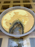 鲜京采【5月全新升级】抹茶芝士蛋糕300g 冰淇淋蛋糕零食糕点 实拍图