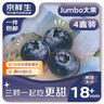 京鲜生 国产蓝莓 4盒18mm+装 125g/盒 生鲜水果 源头直发 包邮 实拍图