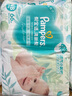 帮宝适【夏天超薄透气】清新帮透氧Pro新生儿纸尿裤S60片 尿不湿 实拍图