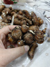 鲜以优广东沙姜新鲜正宗沙姜山奈老姜土特产食用椰子鸡蘸料调味配料做种 茂名沙姜 1斤 【家庭装】 实拍图