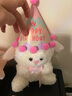 京东鲜花小羊卡通玩偶花束香皂花创意生日礼物女生送女友闺蜜儿童伴手礼 实拍图