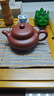 京东京造 宜兴紫砂壶 手工茶壶【原矿朱泥】煮泡茶具 柿圆壶 248ml礼盒装 实拍图