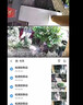 寻踪者摄像头监控户外防雨防雷三镜头超广角高清夜视手机远程实时查看4G 【WiFi版】三镜头多画面同屏 【15天录像回放内存卡】 实拍图