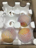 飘香果度正宗山西新鲜采摘水蜜桃脆桃毛桃子整箱 净重4.5斤【单果90-110g】泡沫托盘 实拍图