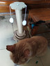 喵丽丝猫抓板猫爬架一体耐磨不掉屑剑麻抓柱耐抓逗猫棒猫咪玩具自嗨解闷 【冲量款】四合一猫抓柱40cm 收藏加购优先发货 实拍图