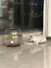 疯狂水草（FKSC）溪流石头鱼缸沙子底砂底沙溪流沙鱼缸造景观装饰溪流缸造景石套餐 实拍图