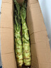 云南新鲜带叶莴笋大莴笋莴苣芥菜新鲜蔬菜青菜青笋火锅炒菜生鲜 【带叶发货】新鲜莴笋带箱3斤装 实拍图