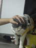 汪爸爸鲜肉无谷犬粮小型犬中大型犬幼犬成犬全犬种双拼冻干通用型狗粮 鲜肉全价狗粮8kg【囤货装】 实拍图