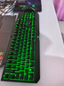 雷蛇（Razer） 黑寡妇蜘蛛标准 机械键盘 游戏键盘 办公键盘 电脑键盘 ABS键帽104键 标准版-104键绿轴绿光 实拍图