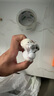 雪貂留香猫咪指甲剪专用狗狗指甲钳神器猫爪子宠物指甲剪刀 实拍图