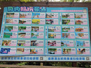 美素佳儿（Friso）皇家幼儿配方奶粉 3段（1-3岁幼儿适用）800g 乳铁蛋白 (新国标) 实拍图