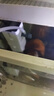 森森 小鲤鱼缸过滤器净水循环三合一内置水族箱过滤系统XQP-500F 6W 实拍图