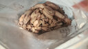 蚁淘鲜海兔子500g 满籽笔管鱼 鱿鱼籽墨鱼仔乌章鱼全籽小乌贼干新鲜干货 海兔干500g约140-160个 实拍图