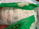 碧芭宝贝冰淇淋special拉拉裤XXXL码30片(≥18kg)加大码尿不湿超薄透气 实拍图