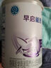 雀巢（Nestle）早启能恩特殊配方奶粉400g 含有DHA（适用于早产/低出生体重儿） 早启能恩400g*1罐 实拍图