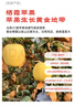 京地达烟台栖霞红富士苹果85级5.5斤礼盒 条纹苹果烟台苹果水果源头直发 实拍图