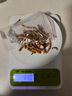 阿依舍 冬虫夏草断虫草特大号断草虫草10克 实惠装 老年人营养品送礼 实拍图