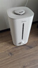 美的（Midea）空气增湿加湿器超大雾量便携家用母婴专用卧室静音除菌桌面小型空调风扇伴侣国家补贴女生礼物40S 实拍图
