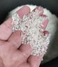 【采销推荐】当季新米 秋田小町香稻贡米 东北大米 珍珠米寿司米 500g*2袋 实拍图