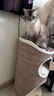 兽牌树洞剑麻桶猫窝猫抓板一体剑麻猫爬架双层大猫屋半封闭式可抓可睡 砂砾灰剑麻桶丨三层 实拍图