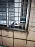 GML节能压缩机窗机窗式空调大1匹移动窗口一体空调单冷单冷空调省电空调大一匹空调家用空调 (小一匹单冷遥控8平方) R410 晒单实拍图