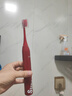 皓卫适配APIYOO艾优SUP电动牙刷头替换通用A7/P7/Y8/S皮卡丘红色 4支 红色刷头【独立真空包装】 实拍图