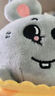 名创优品（MINISO）chiikawa吉伊道具款坐姿公仔毛绒玩偶儿童玩具娃娃抱枕生日礼物女 实拍图