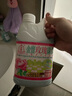 金寶金宝钟全能绿水玫瑰味1L金宝绿水拖地杀菌去味地板清洁剂香港牌 实拍图