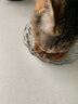 伟嘉进口主食进口软包罐头成猫猫粮85g*12牛肉味 实拍图