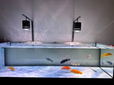 创宁鱼缸渔池循环变频潜水泵 水族箱安静抽水  水陆两用 鱼池假山过滤 升级款【超轻音25W】流量2200-3500L 实拍图