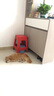 朗亲狗粮10斤装泰迪比熊金毛成犬幼犬通用型狗干粮5kg 实拍图